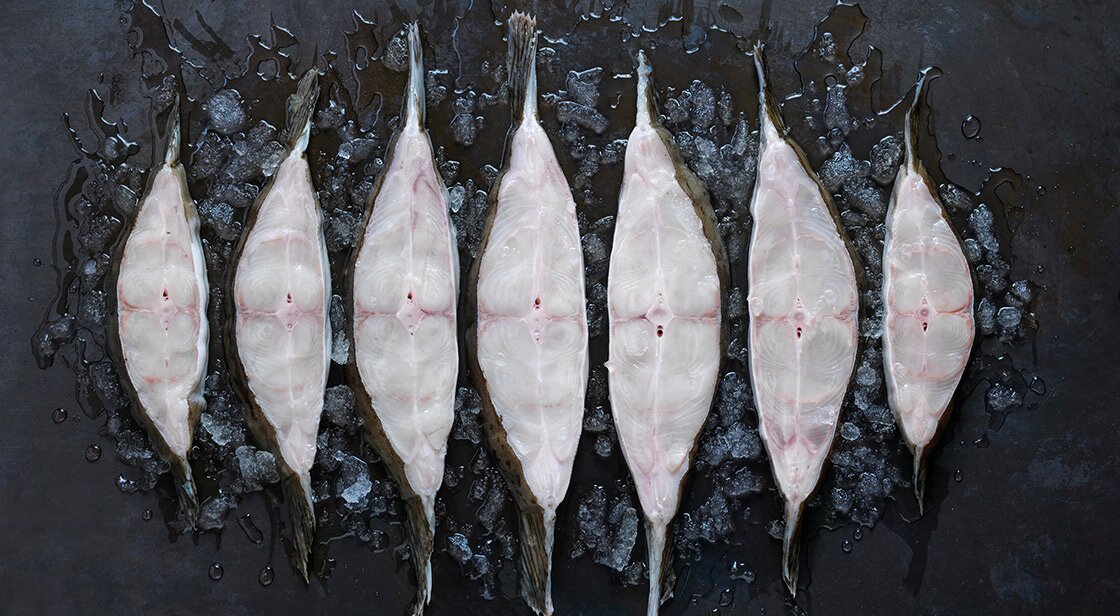Norwegian halibut on ice