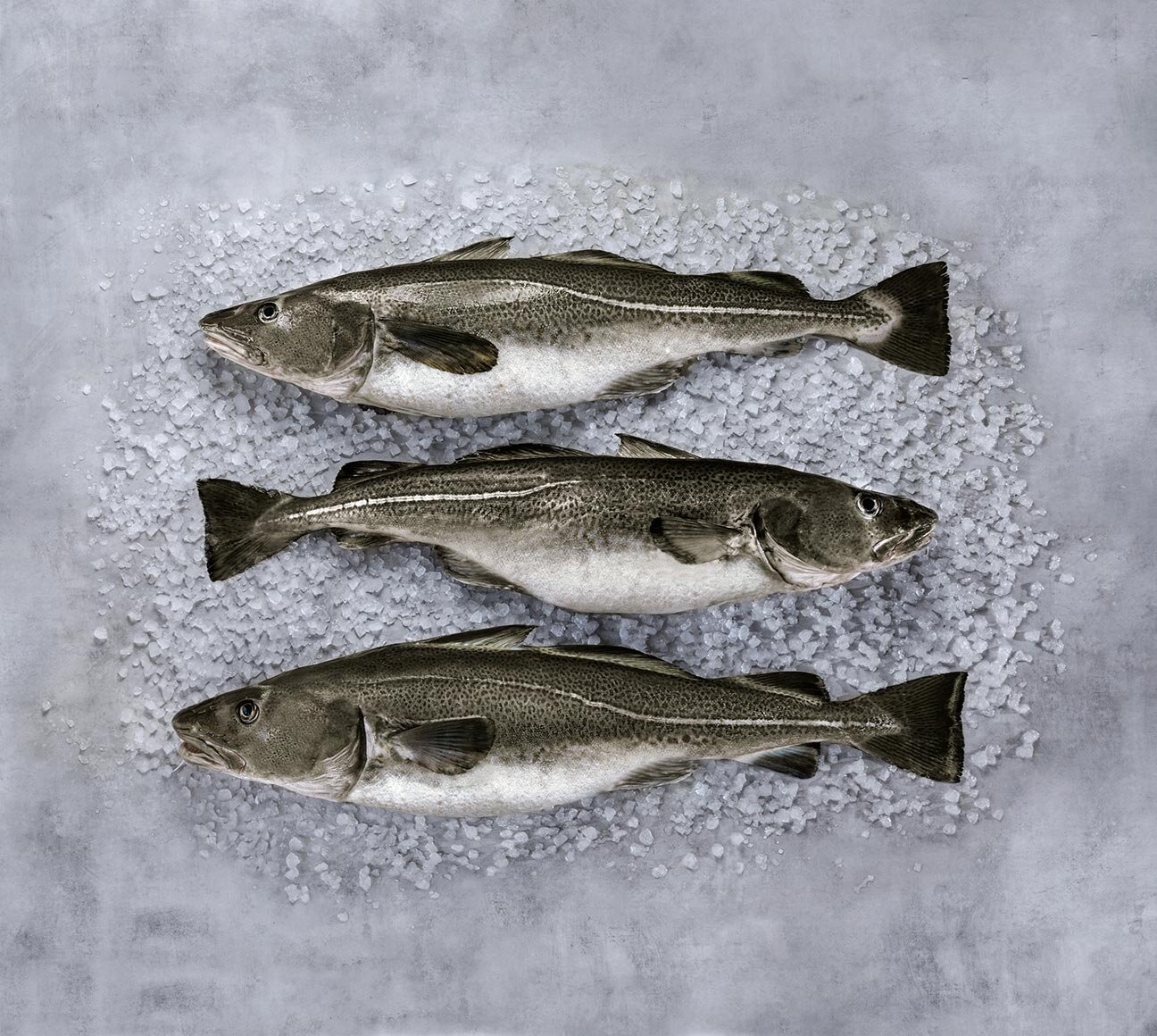 Norwegian skrei