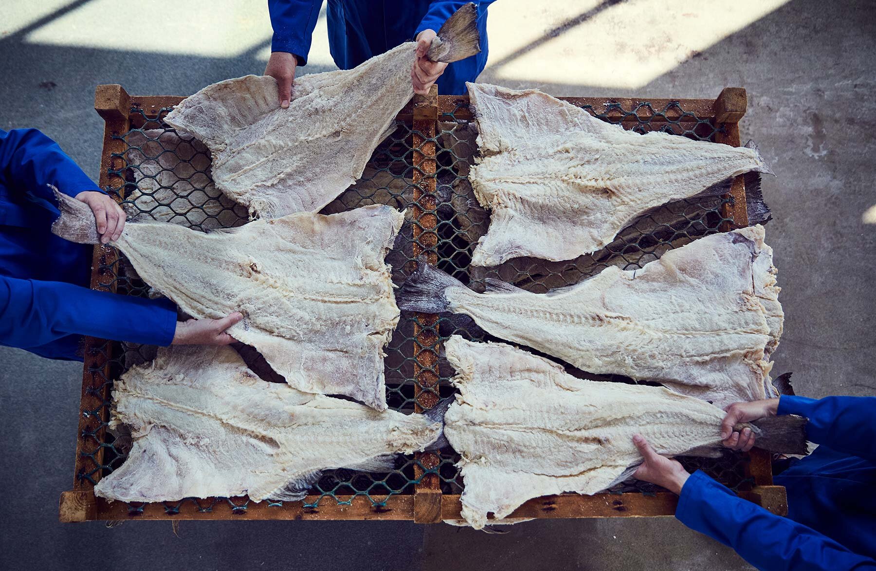 Flakes of clipfish