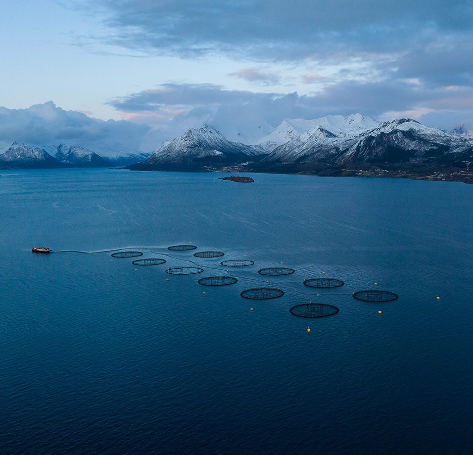 Sea pens for salmon
