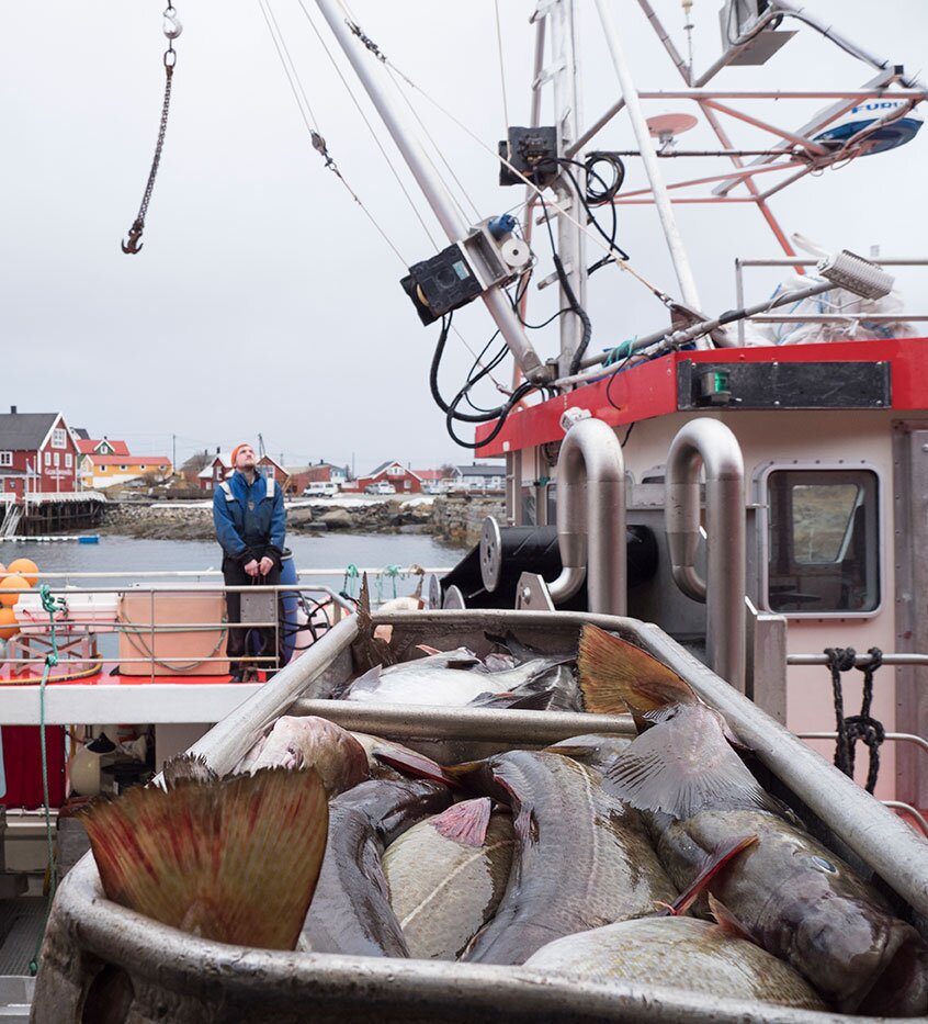 Dockin and unloading the catch